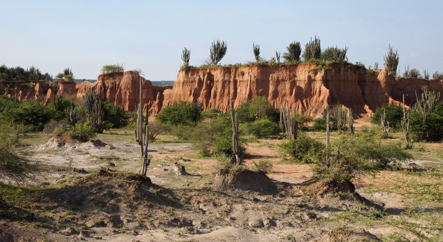 Los espejismos del desierto en Sal de William Vega